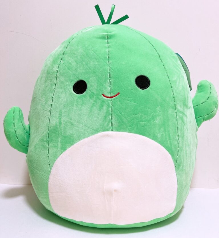 cactus squishmallow name